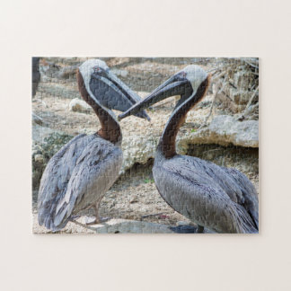 Rompecabezas de Pelicans Jigsaw