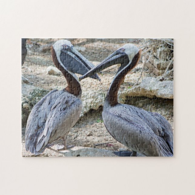 Rompecabezas de Pelicans Jigsaw (Horizontal)