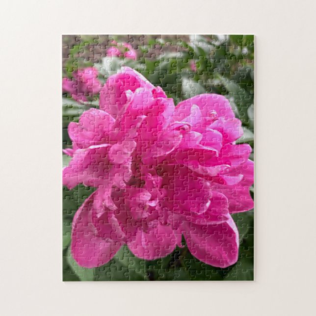 Rompecabezas de Peonía Rosa (Vertical)