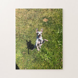 rompecabezas de perlas felices