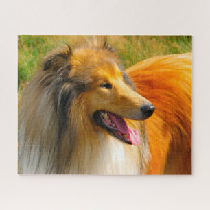 Rompecabezas de Perro Collie Áspero.