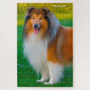 Rompecabezas de Perro Collie Áspero.