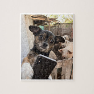 Rompecabezas de perro de granja Chihuahua divertid