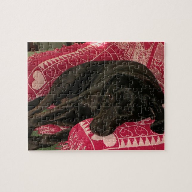 Rompecabezas de perro dormido (Horizontal)