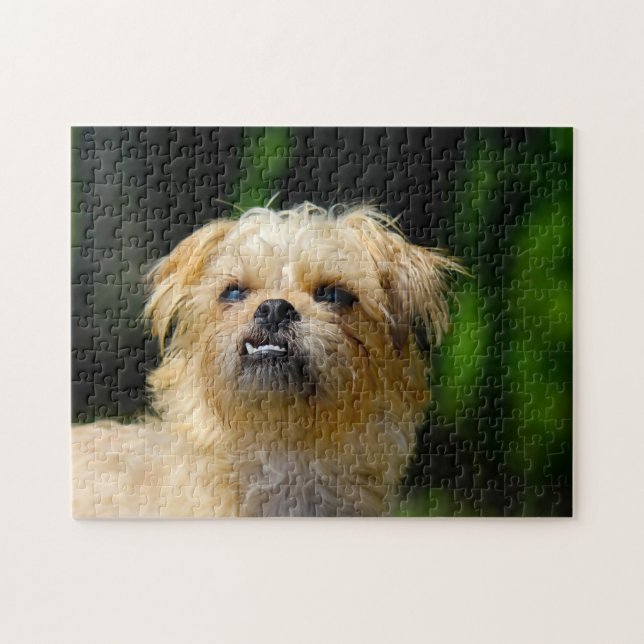Rompecabezas de Perro Griffon. (Horizontal)