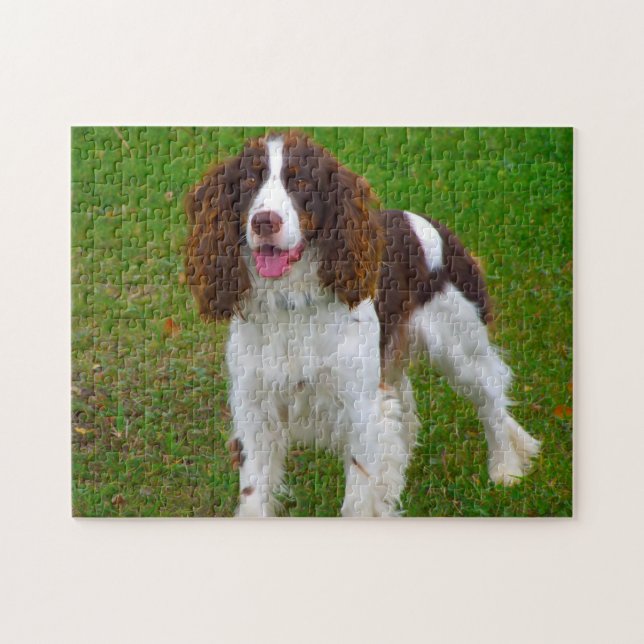 Rompecabezas de perro Springer Spaniel. (Horizontal)