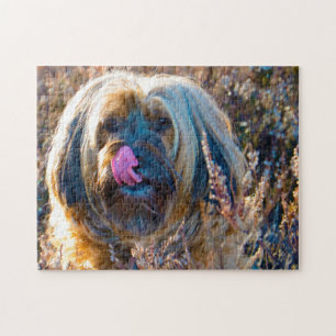 Rompecabezas de Perro Terrier Tibetano.