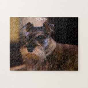 Rompecabezas de Perros Schnauzer.