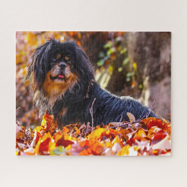 Rompecabezas de Perros Spaniel Tibetano. (Horizontal)