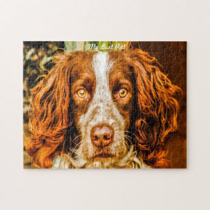 Rompecabezas de perros Springer Spaniel.