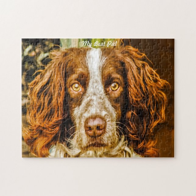 Rompecabezas de perros Springer Spaniel. (Horizontal)
