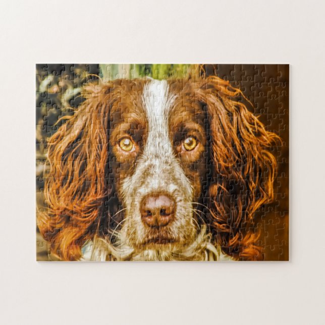 Rompecabezas de perros Springer Spaniel. (Horizontal)