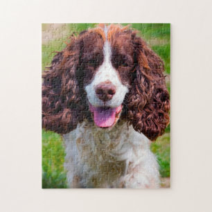 Rompecabezas de Perros Springer Spaniel.