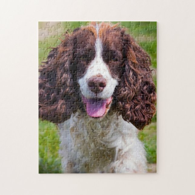 Rompecabezas de Perros Springer Spaniel. (Vertical)