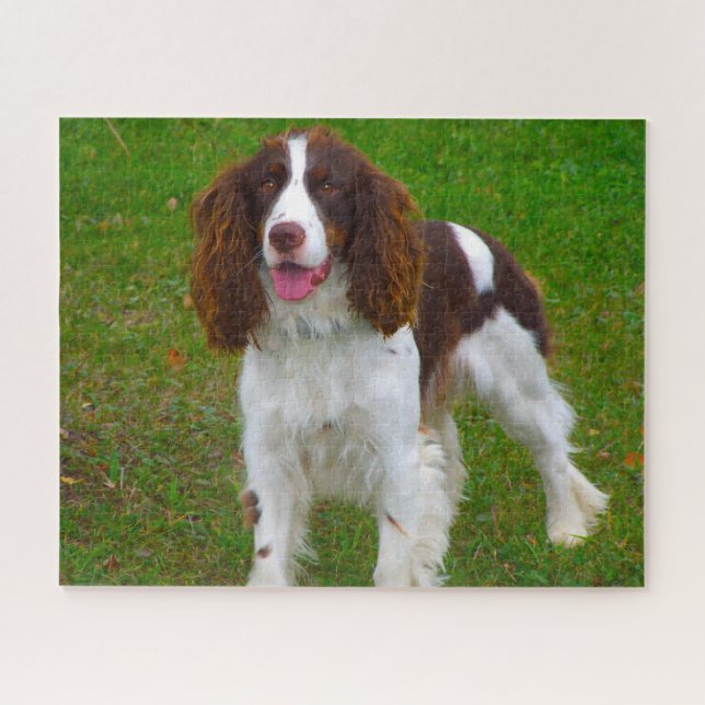 Rompecabezas de Perros Springer Spaniel. (Horizontal)