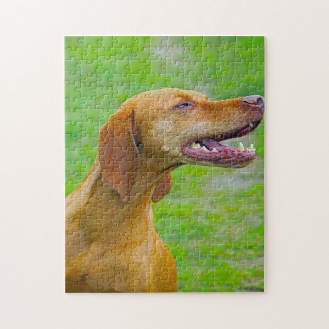 Rompecabezas de perros Vizsla. (Vertical)