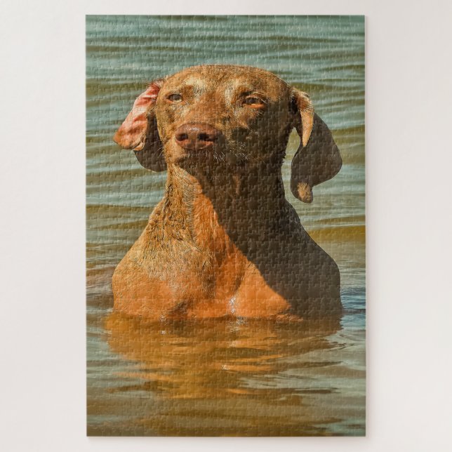 Rompecabezas de perros Weimaraner. (Vertical)