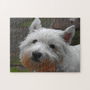 Rompecabezas de perros Westie.