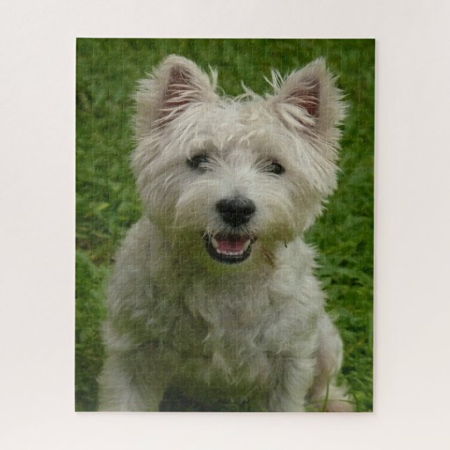 Rompecabezas de perros Westie. (Vertical)