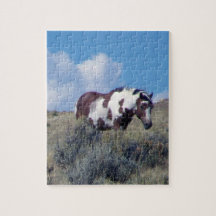 Rompecabezas de Picasso