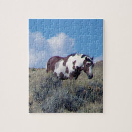 Rompecabezas de Picasso