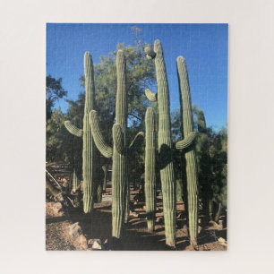 Rompecabezas de pie de Saguaro