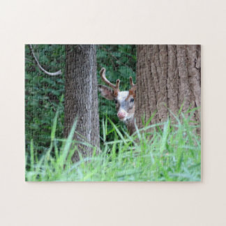 Rompecabezas de Piebald Buck