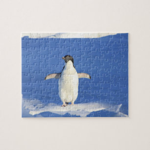 Rompecabezas de pingüino