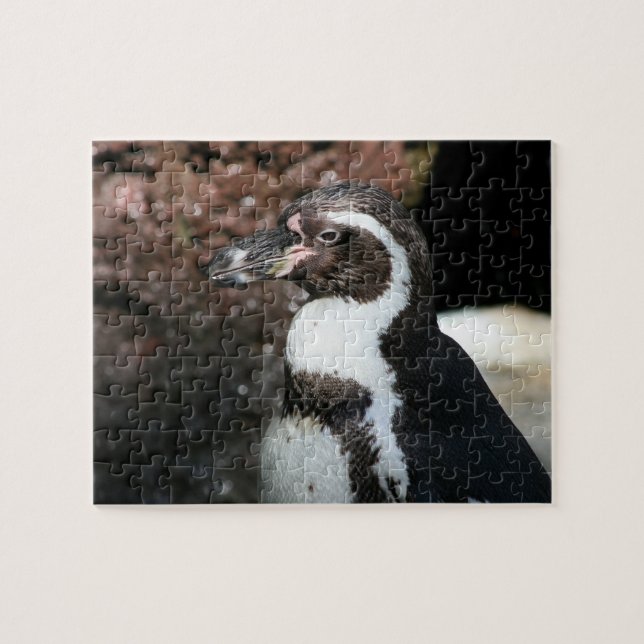Rompecabezas de pingüino (Horizontal)