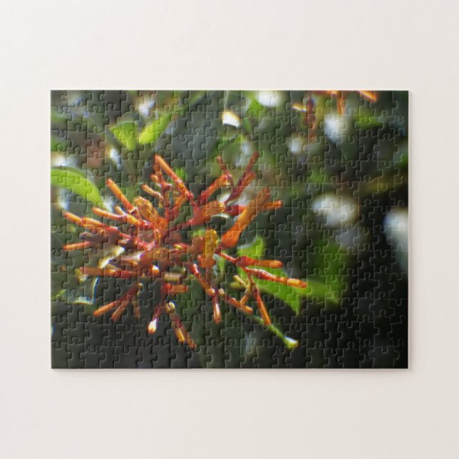 Rompecabezas de Planta Naranja (Horizontal)