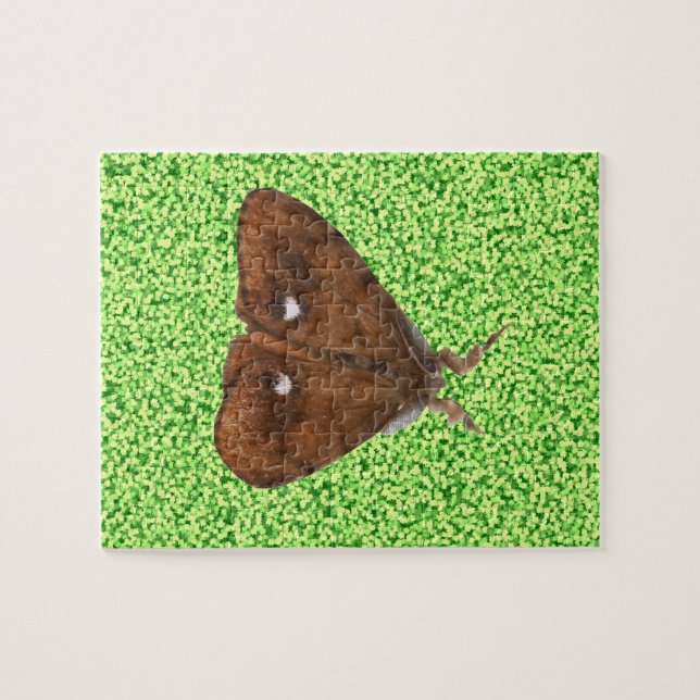 Rompecabezas de polilla de Vapourer (Horizontal)