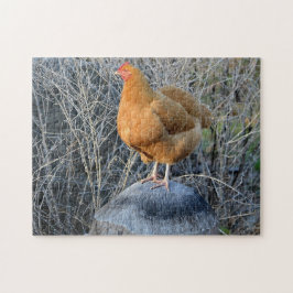 Rompecabezas de pollo