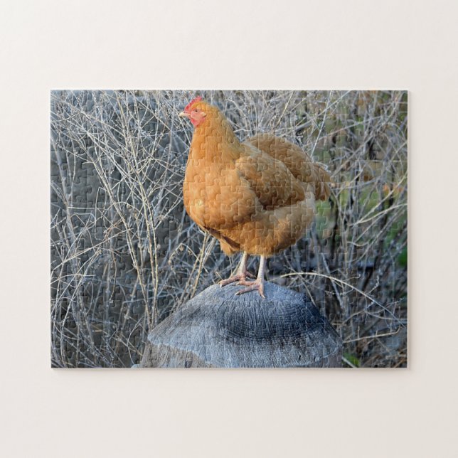 Rompecabezas de pollo (Horizontal)