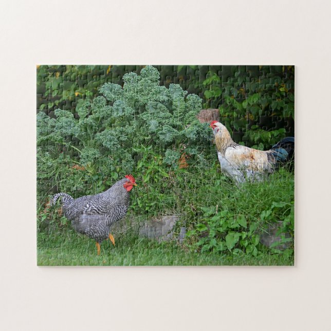 Rompecabezas de pollo de Forraje (Horizontal)