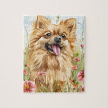 Rompecabezas de Pomerania – Diversión de perro con