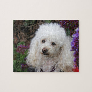 Rompecabezas de Poodle Dog Jigsaw