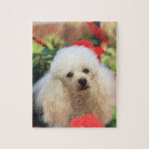 Rompecabezas de Poodle Dog Jigsaw
