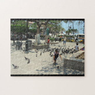 Rompecabezas de Puerto Vallarta, Jalisco, México