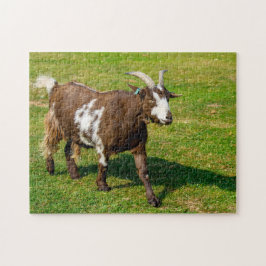 Rompecabezas de Pygmy Goat Jigsaw