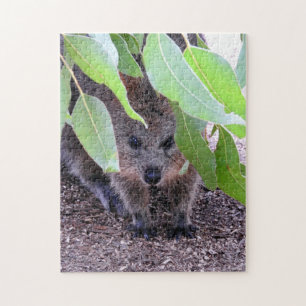 Rompecabezas de Quokka