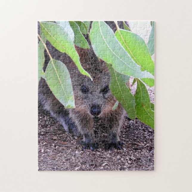 Rompecabezas de Quokka (Vertical)