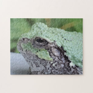 Rompecabezas de rana de árbol