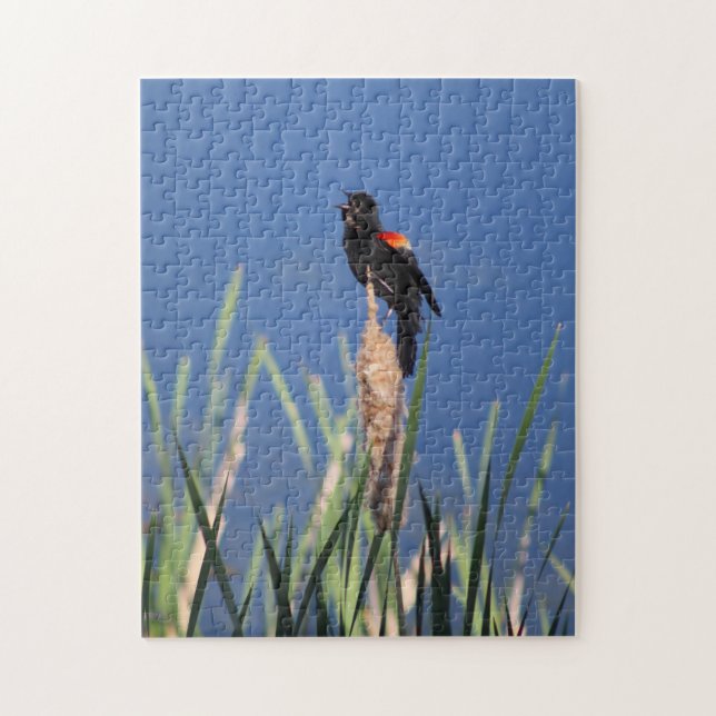 Rompecabezas de Red Wing Blackbird (Vertical)