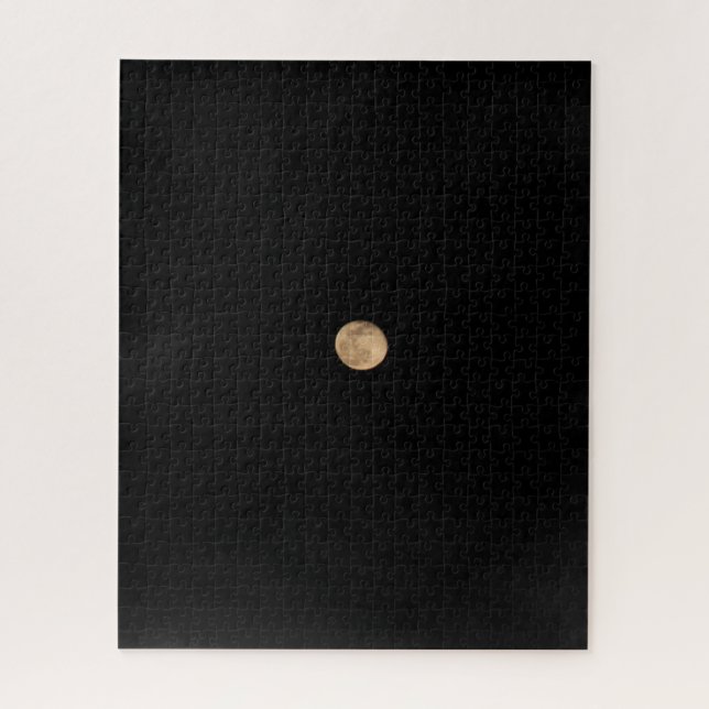 Rompecabezas de rompecabezas de 16x20 en Luna (Vertical)