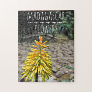 Rompecabezas de rompecabezas de flores de Madagasc