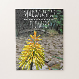Rompecabezas de rompecabezas de flores de Madagasc