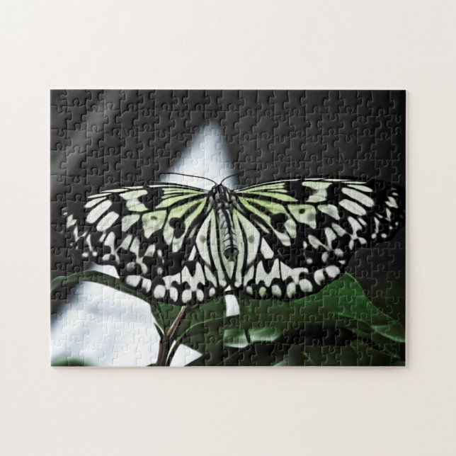 Rompecabezas de rompecabezas de patrones creativos (Horizontal)