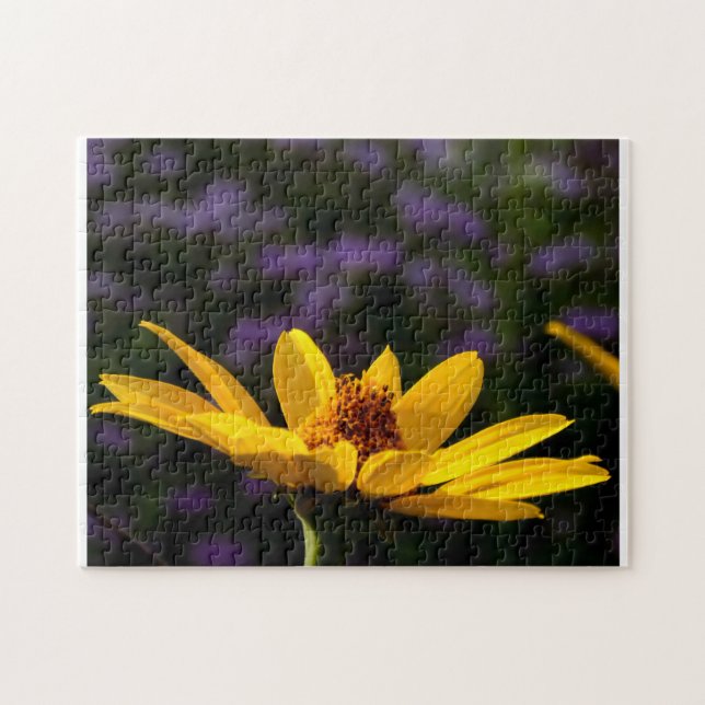 Rompecabezas de rompecabezas de patrones creativos (Horizontal)