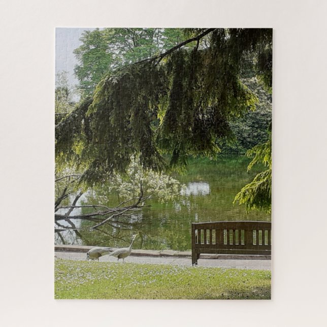 Rompecabezas de rompecabezas del estanque ornament (Vertical)