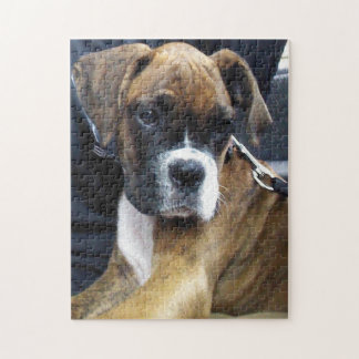 Rompecabezas de rompecabezas del perro BOXER